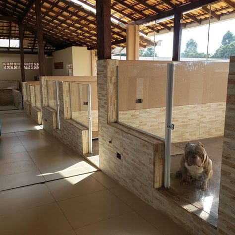 Dog Shelter Aesthetic, Boarding Kennel Ideas, Animal Boarding Facility Kennel Ideas, In Home Boarding Kennel, Commercial Dog Boarding Kennels, Dog Kennel And Run, Animal Rescue Ideas, Dog Boarding Ideas, Animal Shelter Design