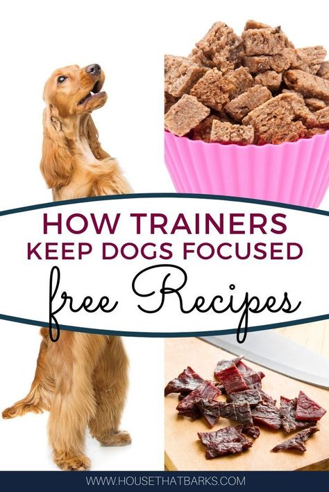 Training Treats For Dogs, Soft Dog Treats, Animal Treats, Dog Treat Recipe, Easy Dog Treat Recipes, Doodle Dogs, Make Dog Food, Frozen Dog Treats, Dog Biscuit