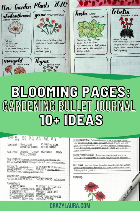 A gardening bullet journal is a great way to keep track of your gardening activities. This will help you stay on top of your gardening. #bujo #bulletjournal #bujoinspiration Garden Quotes Signs, Garden Notebook, Gardening Activities, Garden Planning Layout, Crazy Laura, Bujo Layout, Bullet Journal Spreads, Plant Journal, Bullet Journal Ideas