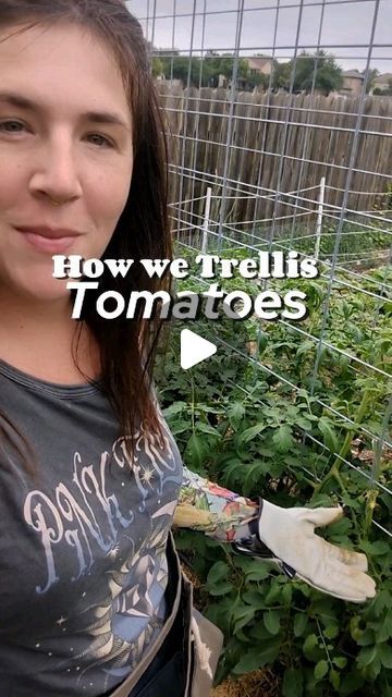 Vanessa Minton | One way to trellis lots of indeterminate 🍅! . There are so many ways to trellis a tomato plant. From the drop string method, to the Fl... | Instagram Tomato Vine Trellis, Trellis Tomato Plants, Tomato Trellis Ideas Diy, Climbing Vegetable Plants Trellis Ideas, Cheap Trellis Ideas, Tomato Plant Support Diy, Tomato String Trellis, A Frame Tomato Trellis, Tomatoe Plant Support Trellis Ideas