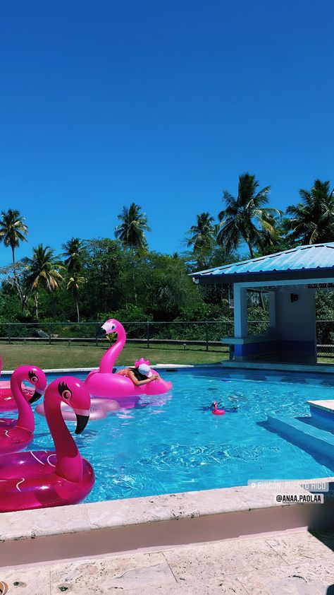 Flamingo Floaties, Unicorn Floaties, Ocean Hair, Flamingo Pool Float, Pool Floaties, Pool Floats, Preppy Summer, Tickled Pink, Pool Days