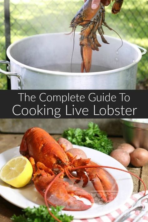 lobster Cooking Lobster, Cook Lobster, Live Lobster, How To Cook Liver, How To Cook Lobster, Seafood Platter, Shellfish Recipes, Cooking Advice, Lobster Recipes