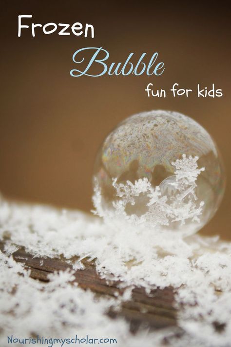 Outdoor Snow Activities, Snow Activities For Kids, Schnee Party, Frozen Bubble, Frozen Bubbles, Winter Science, Bubble Fun, Trendy Photography, Snow Activities