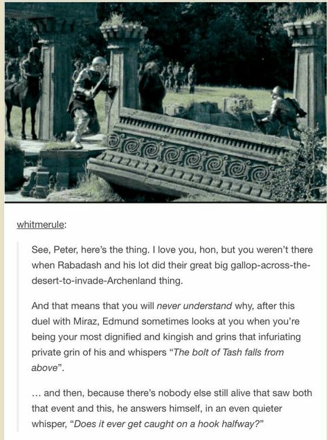 Lucy was also at the Archenland Battle so I wouldn’t be surprised if Edmund told her about this duel later and they laughed about it. The Horse And His Boy, Chronicles Of Narnia Books, Cair Paravel, Narnia 3, Cs Lewis, Chronicles Of Narnia, Book Tv, Film Serie, Book Fandoms