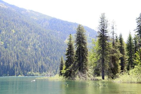 Lake Kachess State Park  - Gonna have to check this place out! Bike Baby, Seattle Trip, Baby Bike, Spokane Washington, Our Relationship, More Productive, Camping & Hiking, Nature Scenes, Washington State