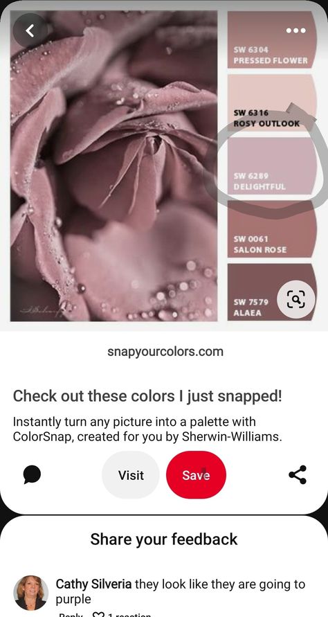 Sw Pressed Flower, Color Bedroom, Pressed Flower, Bedroom Colors, Sherwin Williams, Pressed Flowers, Colorful Flowers, Color Me, Interior Design