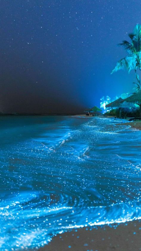 Visit the #GlowingBeach on the Vaadhoo Island in the Maldives. The bioluminescent phytoplankton in the water create an ethereal, starry night effect on the shore, a romantic sight that's perfect for a moonlit walk. #RomanticDestinations #NaturalWonders #TravelFact Vaadhoo Island, Glowing Beach, Ocean At Night, Beach At Night, Dream Vacations Destinations, Ocean Pictures, Pretty Landscapes, Ocean Vibes, The Maldives