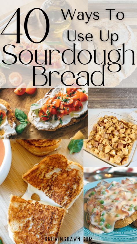 Recipes With Sourdough Bread Dinners, Ways To Eat Sourdough Bread, Recipes With Sourdough Bread, Recipe Using Sourdough Bread, Leftover Sourdough Bread, Dinners Ideas, Recipe Using Sourdough Starter, Sourdough Bread Sandwiches, Sourdough Starter Discard Recipe