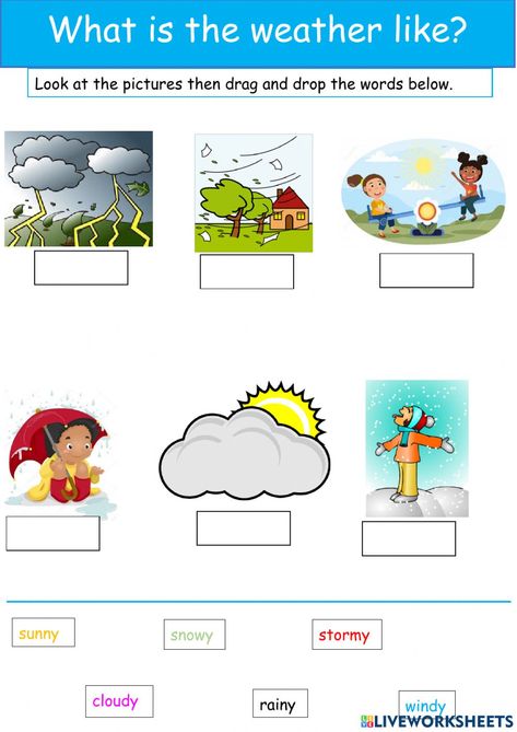 Kinds Of Weather Worksheet, Homes Around The World Preschool, Types Of Weather Worksheet, Weather Worksheets Preschool, Weather Kindergarten, Climate And Weather, Types Of Weather, Weather Worksheets, Preschool Fine Motor Activities