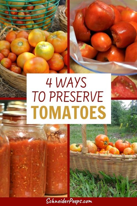 Tomatoes are the most popular backyard garden vegetable and at the height of the tomato season you'll find yourself with more tomatoes than you can eat fresh. Learn how to preserve tomatoes by canning, freezing, dehydrating, and fermenting. There's something for beginners and experienced food preservers. If you have a lot of tomatoes or just a few, there's a way to preserve them to use throughout the year. Dehydrating Tomatoes, Preserve Tomatoes, How To Store Tomatoes, Preserving Tomatoes, Preserving Vegetables, Canning Vegetables, Dehydrated Vegetables, Canning Food Preservation, Canning Tomatoes