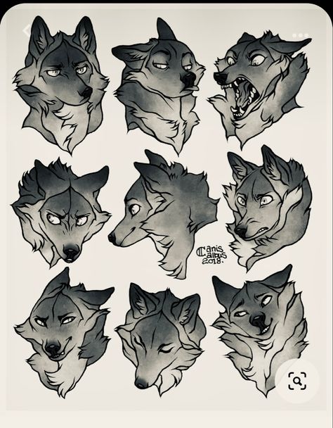 Wolf Anatomy Drawing, Wolf Side View, Cartoon Wolf Drawing, Wolf Anatomy, Wolf Poses, Red Riding Hood Art, Anime Wolf Drawing, Wolf Paw, Wolf Hybrid