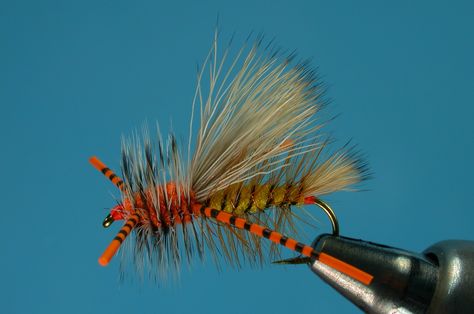 Fly Fishing Rods, Fly Tying Materials, Fly Fishing Flies Trout, Fly Box, Saltwater Flies, Fly Fishing Flies Pattern, Salmon Flies, Catching Fish, Fly Tying Patterns