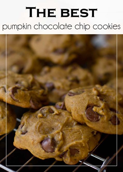 The BEST pumpkin chocolate chip cookies I Heart Nap Time | I Heart Nap Time - Easy recipes, DIY crafts, Homemaking Best Pumpkin Chocolate Chip Cookies, Cookies Pumpkin, Pumpkin Chocolate Chip, Pumpkin Chocolate Chip Cookies, Pumpkin Chocolate Chips, Health Desserts, Spice Cookies, Chip Cookie Recipe, Pumpkin Flavor