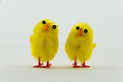 Easter Chickens. Two Yellow Easter Chicken decorations #Sponsored , #affiliate, #ad, #Chickens, #Chicken, #Yellow, #Easter Chicken Decorations, Easter Chickens, Advertisement Ideas, Chicken Images, Easter Chicken, Chicken Decor, Chicken Stock, Designs To Draw, Photo Image