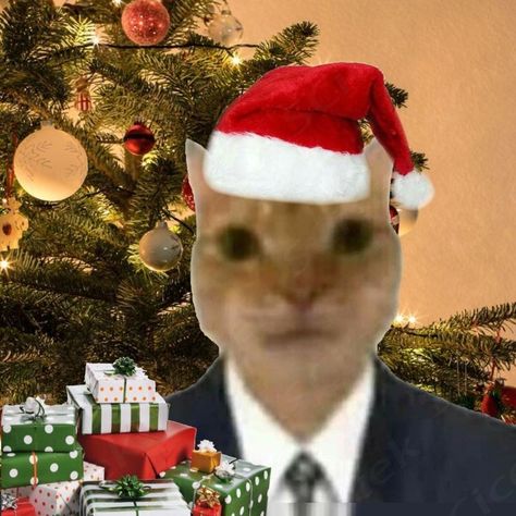 silly pfp Christmas Silly Pfp, Pfp Christmas, Christmas Pfp, Ugly Cat, Silly Photos, Discord Pfp, Pfp Ideas, Cat Christmas, Really Funny Joke