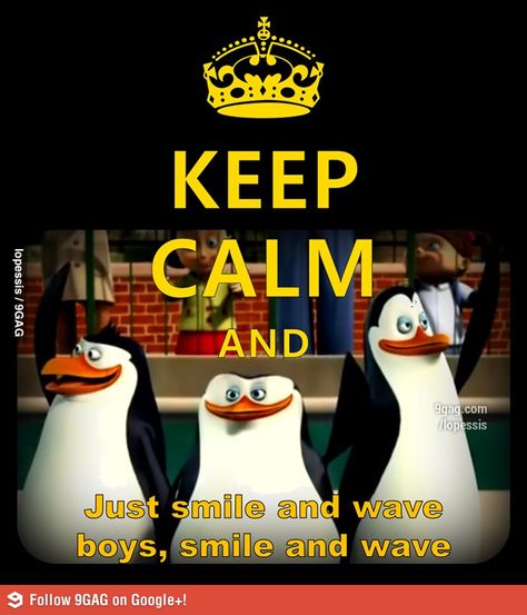 Life at rainforest cafe when your guest doesn't speak English and you can't speak their language... Keep Calm Funny, Two Penguins, The Penguins Of Madagascar, Keep Calm Signs, Keep Calm Carry On, Penguins Funny, Penguins Of Madagascar, Keep Calm Posters, Smile And Wave