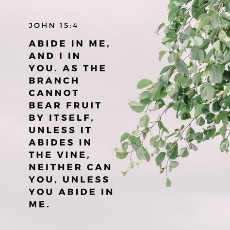 Abiding, remaining, staying, sitting, dwelling IN Christ is the call of our generation. To remain unwaveringly steadfast in our commitment to the King.   #abide #remain #dwell #home #Christ #JesusisKing #sermoncentral #pastor #sermon #churchmedia Abide In Me, John 15 4, Abide In Christ, Esv Bible, Christ Quotes, Stoic Quotes, Inspirational Verses, Study Journal, In Christ Alone