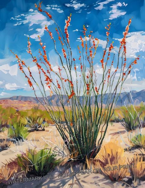 Sonoran Desert Ocotillo Shrubs Tucson Arizona  Landscape Art Print 8.5X11 Desert Shrubs, Desert Oasis Art, Southwestern Paintings, Southwest Art Paintings, Southwest Adobe Paintings, Southwest Art Paintings Desert Landscape, Sonoran Desert Architecture, Desert Landscape Design, Glass Frit Painting