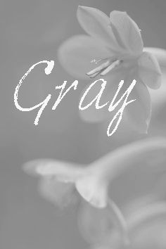 Grey Moodboard, Grey Cottage, Gray Granite, Silver Sisters, Grey Shades, Touch Of Gray, Grey Goose, Orange You Glad, Going Gray