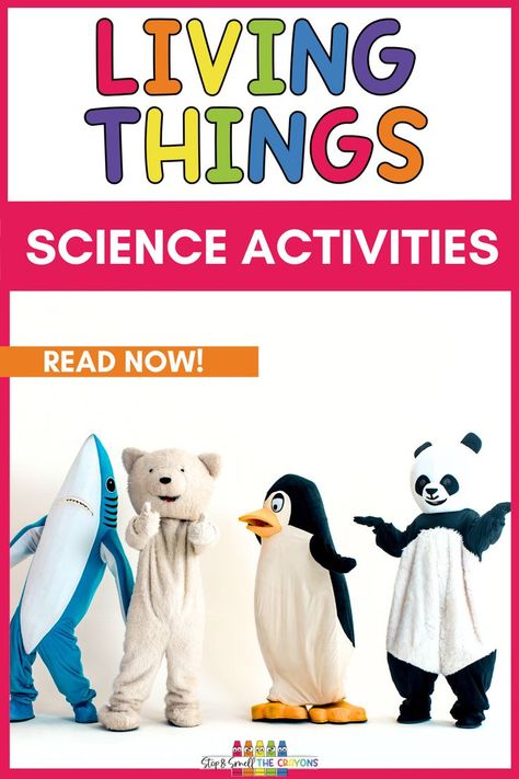 Teaching students about living and nonliving things is a foundational science concept. Spice up your lesson plans with these fun and engaging science activities to engage your students. Using movement your students will dive into discovering the five senses & parts of the body. Then learn about the characteristics of living and nonliving things through sorting and graphing. Head over to this blog post for more ideas for teaching this life science unit in your elementary classroom or homeschool. Non Living Things, Living And Nonliving Things, Characteristics Of Living Things, Living And Nonliving, The Five Senses, First Grade Science, Teaching Students, Kindergarten Science, Science Units