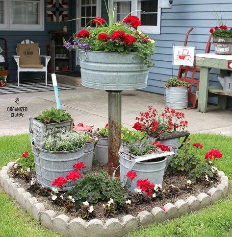 A Gathering of Mop Buckets in a Small Junk Garden #galvanizedplanter #galvanized #containergarden #junkgarden #annuals #redgeraniums Junk Garden, Bucket Gardening, Garden Junk, Container Gardens, Garden Yard Ideas, Rustic Garden Decor, Easy Garden, First Week, Rustic Gardens