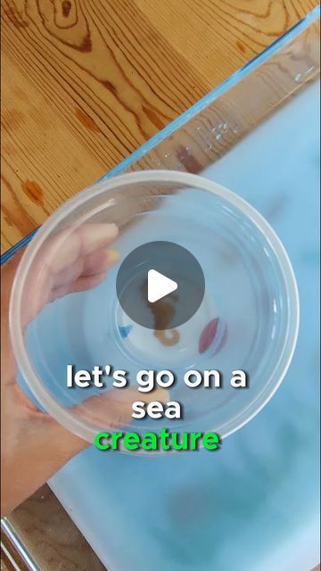 Emily Farrington | Play Coach on Instagram: "Lets go on a sensory sea creature hunt with our preschoolers!   This activity is perfect for supporting your child's; 🔢 Counting knowledge 💡 Problem solving skills 👐 Hand eye coordination 🐠 Knowledge of animals  Adult Supervision Is Required  #sensoryplayideas #preschoolsensoryplay #earlyyearsactivities #learningthroughplay #preschoolactivities #countingactivity #undertheseaactivities" Sea Animal Activity Preschool, Sea Creatures Activities Preschool, Sea Animal Activities For Toddlers, Sea Animal Activity, Sea Animal Crafts For Preschool, Sea Activities For Preschool, Sea Animal Activities, Ocean Sensory Activities, Sea Animals Activities For Preschool