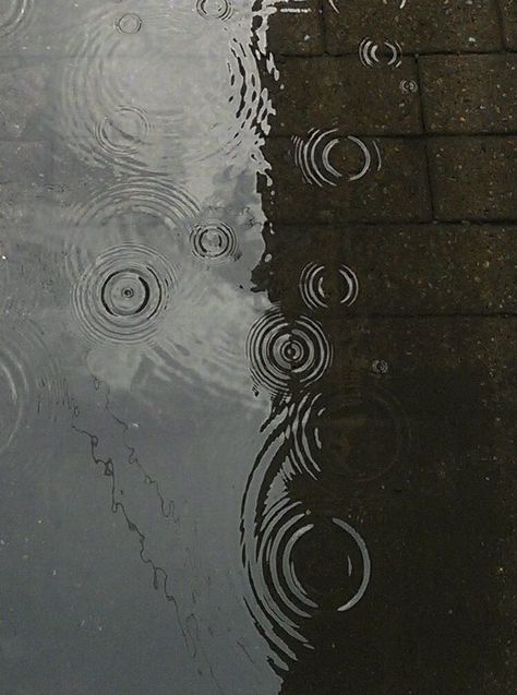 Severus Snape Aesthetic, Rainy Street, Grey Aesthetic, Gloomy Day, Fall Spices, Vintage Fall, Rain Photography, Autumn Day, Light And Shadow