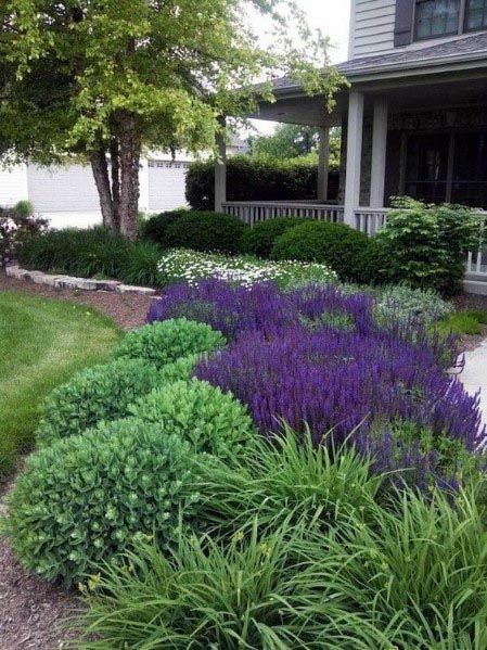 Cheap Landscaping Ideas For Front Yard, Landscape House, Cheap Landscaping Ideas, Front Garden Landscape, Front Landscaping, Landscape Designs, Have Inspiration, Home Landscaping, Front Yard Garden