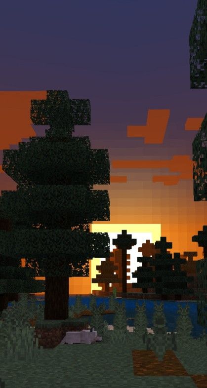 Minecraft Sunset, Spruce Forest, Minecraft Pictures, Forest Sunset, Minecraft Wallpaper, Sunset Wallpaper, Aesthetic Images, Art Classes, Summer Vibes