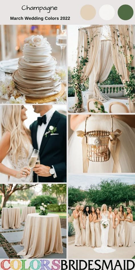 Champagne march wedding color inspirations for 2022, champagne bridesmaid dresses, black men's suit, flower girl and basket, champagne wedding cake dotted with white flowers, champagne tablecloths and greenery centerpieces. #colsbm #weddings #weddingideas #bridesmaiddresses #springwedding #champagnewedding Wedding Colors Champagne Colour Schemes, Sage Green And Champagne Wedding, Champagne Color Palette Wedding, March Wedding Colors, April Wedding Colors, Champagne Wedding Themes, Champagne Wedding Flowers, Champagne Wedding Colors, Spring Wedding Outfit