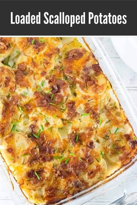 These scalloped potatoes are loaded with bacon, cheese, and sour cream! #potatoes #sidedish Loaded Scalloped Potatoes, Cream Potatoes, Scalloped Potatoes With Bacon, Sour Cream Potatoes, Creamy Potatoes, Cheese Crust, Crispy Cheese, Sour Cream Recipes, Scalloped Potato Recipes