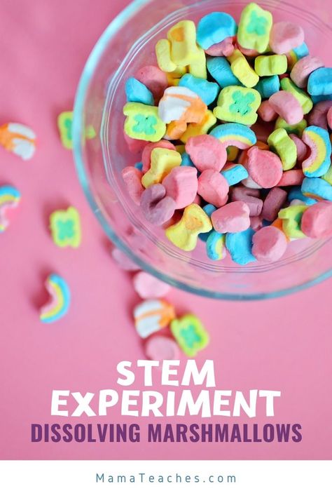 Stop Sugar, Easy Stem, Stem Experiments, Lucky Charms Cereal, Sugar Intake, Sugary Food, Food Snacks, Food Dye, Stem Science