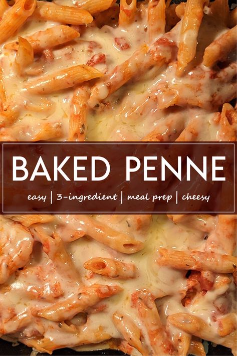 Three-Ingredient baked penne full of melted cheese in a glass baking dish. Easy Bake Pasta Recipes, Premade Pasta Meals, Cheesy Pasta Bake No Meat, Rigatoni For Large Crowd, Penna Pasta Recipes Baked Penne, Cheesy Baked Pasta Recipes, 3 Cheese Penne Pasta, Three Cheese Penne Pasta, Easy Penne Pasta Recipes Ground Beef