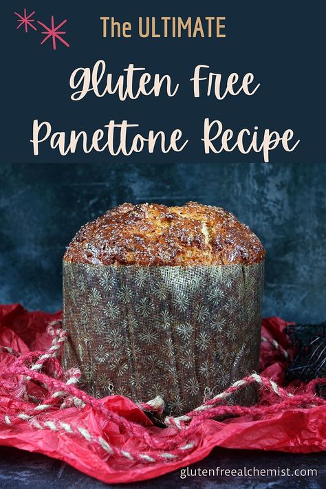 Pannetone Recipe Gluten Free, Chocolate Chip Panettone Recipe, Gluten Free Panettone Recipe, Chocolate Chip Panettone, Gluten Free Panettone, Hygge Food, Celiac Symptoms, Panettone Recipe, Gluten Free Pastry