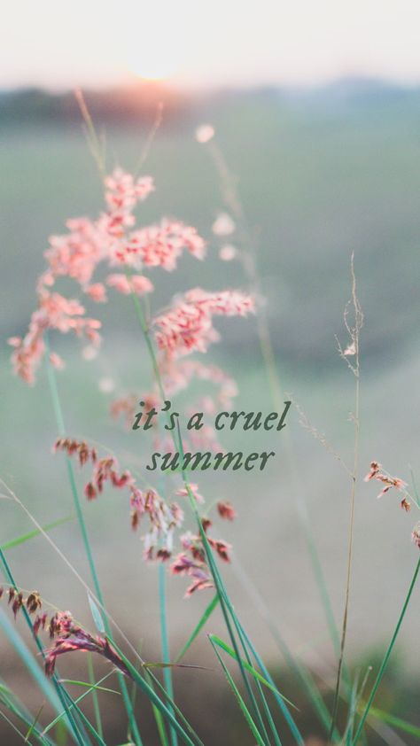 cruel summer // lover // taylor swift // background // wallpaper Cruel Summer Lyrics Wallpaper, Summer Wallpaper Taylor Swift, Taylor Swift Background, Summer Lyrics, Lover Taylor Swift, Taylor Swift Lyric Quotes, Lover Taylor, Taylor Swift Lover, Swift Wallpaper