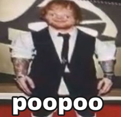 Funny Ed Sheeran Pictures, Ed Sheeran Cursed Funny, Bread Sheran, Ed Sheeran Cursed, Ed Sheeran Funny, Bread Sheeran, Ed Shiran, Ed Sheeran Memes, Ed Sheeran Facts