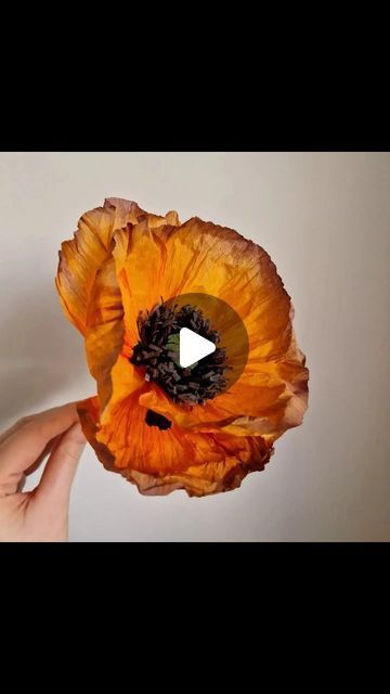 Crete Paper Flowers Diy, Krep Papir Flower, Crepe Paper Marigold Flowers, Crepe Poppy Flower, Crepe Paper Dahlia, Paper Flower Art, Paper Collage Art, Paper Flower Crafts, Handmade Flowers Paper