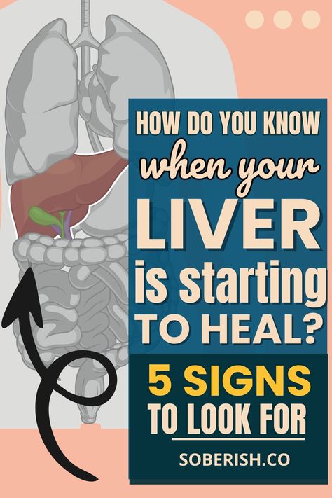 Once you cut back on drinking, watch for these signs of your liver detoxing and healing. They signal your body's positive response to giving up excess alcohol. Liver Diet Plan, Liver Detox Drink, Kidney Detox Cleanse, Alcohol Facts, Clean Your Liver, Heal Liver, Liver Issues, Giving Up Alcohol, Kidney Detox