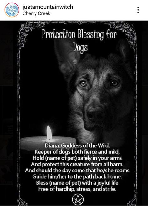 Dog Familiar, Wiccan Knowledge, Hedge Witchery, Protection Blessing, Spiritual Ideas, Witch Spells, Witchy Women, Witch Things, Witchcraft Spells For Beginners