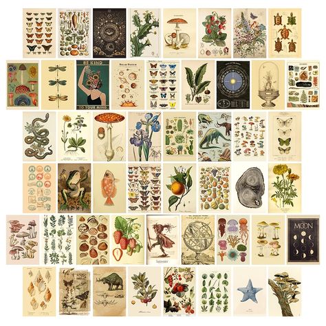 Vintage Wall Collage Kit Aesthetic Pictures Room Decor - Temu Canada Vintage Wall Collage, Pictures Room Decor, Collage Kit Aesthetic, Picture Room Decor, Cottagecore Room, Cottagecore Room Decor, Collage Mural, Dorm Wall Art, Wall Collage Kit