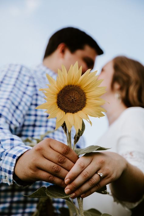 Engagement Photos With Sunflowers, Sunflower Photography Couples, Sunflower Patch Engagement Pictures, Sunflower Field Engagement Photoshoot, Sunflower Couple Pictures, Sunflower Engagement Photos, Sunflower Field Engagement Photos, Sunflower Field Couples Photoshoot, Couple Sunflower Field Pictures