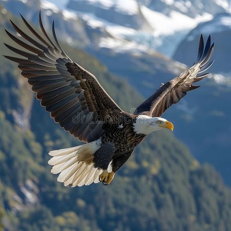 Eagle Flying High Above a Clear Sky. Stock Illustration - Illustration of bald, eyes: 325889525 Golden Eagle Flying, Fly Drawing, Sky Illustration, Eagle Flying, Eagle Vector, Eagle Mascot, Eagle In Flight, American Flag Eagle, Eagle Bird