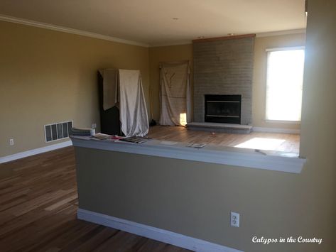 Renovation Progress - Should You Remove a Half Wall? - Calypso in the Country Remove Kitchen Wall, Pony Wall Ideas, Wall Between Kitchen And Living Room, Half Wall Kitchen, Home Decor Ideas Indian, Kitchen Eating Areas, Wall Removal, Pony Wall, Half Walls