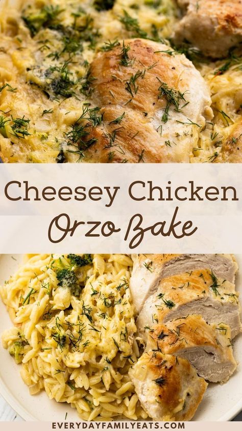 This Cheesy Chicken and Orzo Bake, made with broccoli, havarti and dill is a one-pot meal made in about 30 minutes and perfect for busy weeknights. Chicken Havarti Recipe, Chicken Broccoli Orzo Recipes, Baked Chicken With Orzo, Dinner Recipes With Orzo, Orzo Chicken Casserole, Feta Orzo Chicken Bake, Dill Havarti Recipes, Chicken And Orzo Casserole, Baked Chicken Orzo