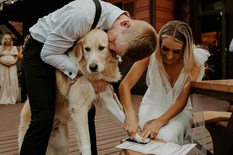 Golden Retriever Stamps Owners' Marriage License with Paw After Officiating Wedding (Exclusive) Dog Marriage, Golden Retriever Wedding, Marriage Signs, Wedding License, Pet Paw Print, Dog Stories, Marriage Certificate, Marriage License, Dog Wedding