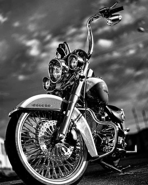 Harley Davidson Heritage Softail, Мотоциклы Harley Davidson, Harley Davidson Tattoos, Motos Yamaha, Biker Photography, Motos Vintage, Motos Harley, Harley Davidson Wallpaper, Biker Tattoos