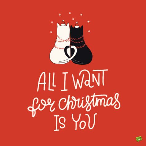 Merry Christmas I Love You, Merry Christmas For Him, Merry Christmas Handsome, Christmas Greeting Card Ideas, Animated Christmas Cards, Free Animated Christmas Cards, Message For Love, Animated Christmas Card, Merry Christmas 2022