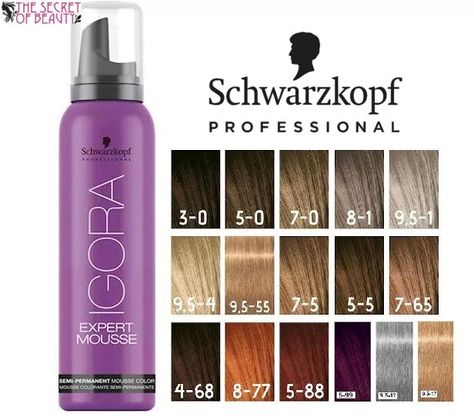 Schwarzkopf Igora Royal Expert Mousse Semi-Permanent Mousse 100 ml | eBay Demi Permanent, Schwarzkopf Professional, Semi Permanent, Beauty Secrets, The Secret, Nail Polish, The 100, Conditioner, Beauty