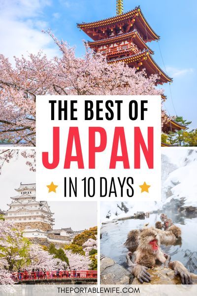 Osaka Itinerary, Places To Visit In Japan, Japan Travel Destinations, Japan Holidays, Tokyo Japan Travel, Japan Itinerary, Mont Fuji, Japan Vacation, Japan Travel Tips