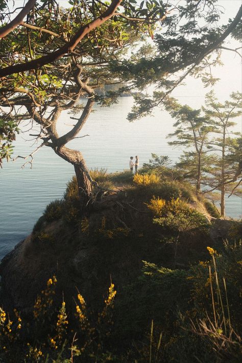 State Park Engagement Photos, Rainy Engagement Photos, Pnw Aesthetic, Washington Beaches, Seattle Engagement Photos, Proposal Photoshoot, Seattle Elopement, Summer Wildflowers, Deception Pass